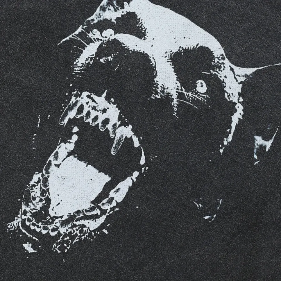 Oversized Dog Graphic Hoodie S3d0e2caf49b34fc6946694e36c26862c6 07f4029b