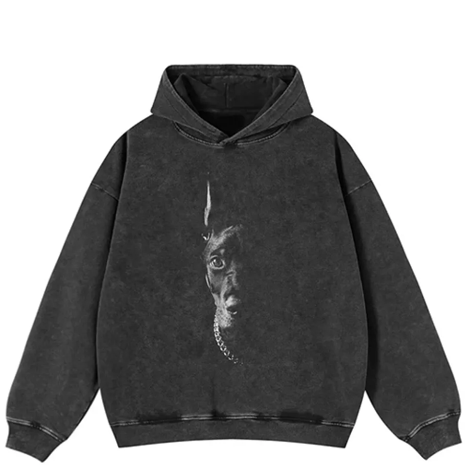 Shadowed Doberman Portrait Graphic Hoodie Sb2c58f827cbc4611888ac0df909155eeX 100f7c8c