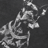 Streetwear Doberman Graphic T-Shirt 348acd47 b53f 4684 bdb8 a65d55947a59308660 1924c634