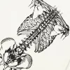 Anatomical Skeleton Frame Graphic T-Shirt S3917548d26ff408cb28eb0c71d670cffz 277b5815