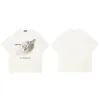Angel Wings Graphic T-Shirt S5b3cc633f2cd4add92f8c1a0077ec5646 388a0f50