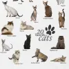 Cat Breeds Collage Graphic T-Shirt S1529ebfded8d4aafb1a1d29722f09cba5 3b259112