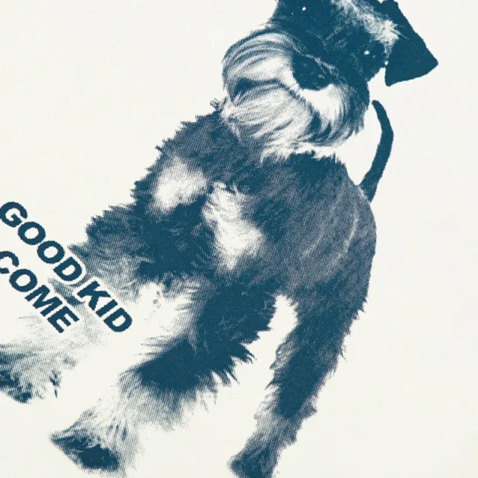 Good Kid Schnauzer Graphic T-Shirt S3026101b51b14b00be39d824467712baK 5a8f6c6c