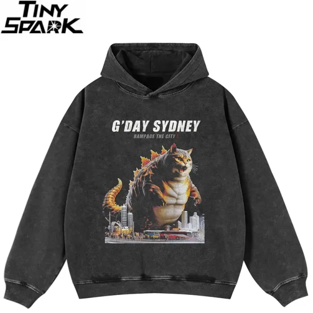 Porpoise Ramen Hoodie Sec104c1bc083497a91c801b9a7b21c2aS 5a940484