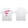 Pink Cloud Hip Hop T-Shirt Se20e90bbe4a741b49217deea2f5e74e1N 5c43f130
