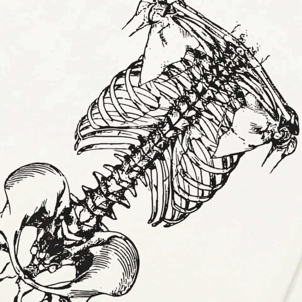 Anatomical Skeleton Frame Graphic T-Shirt S3917548d26ff408cb28eb0c71d670cffz 625bf867