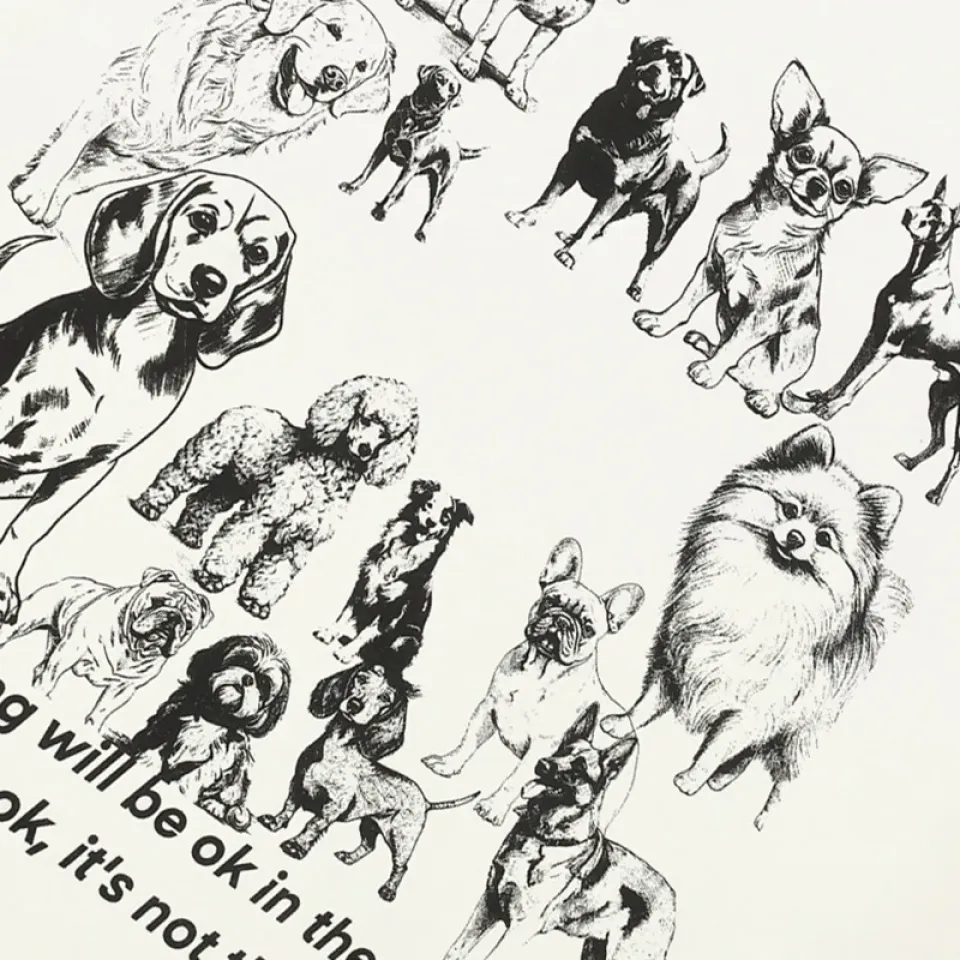 Playful Dogs Graphic T-Shirt White S1576c8e932bb4dddaa554a07ef58fa19S 72c9c6f1