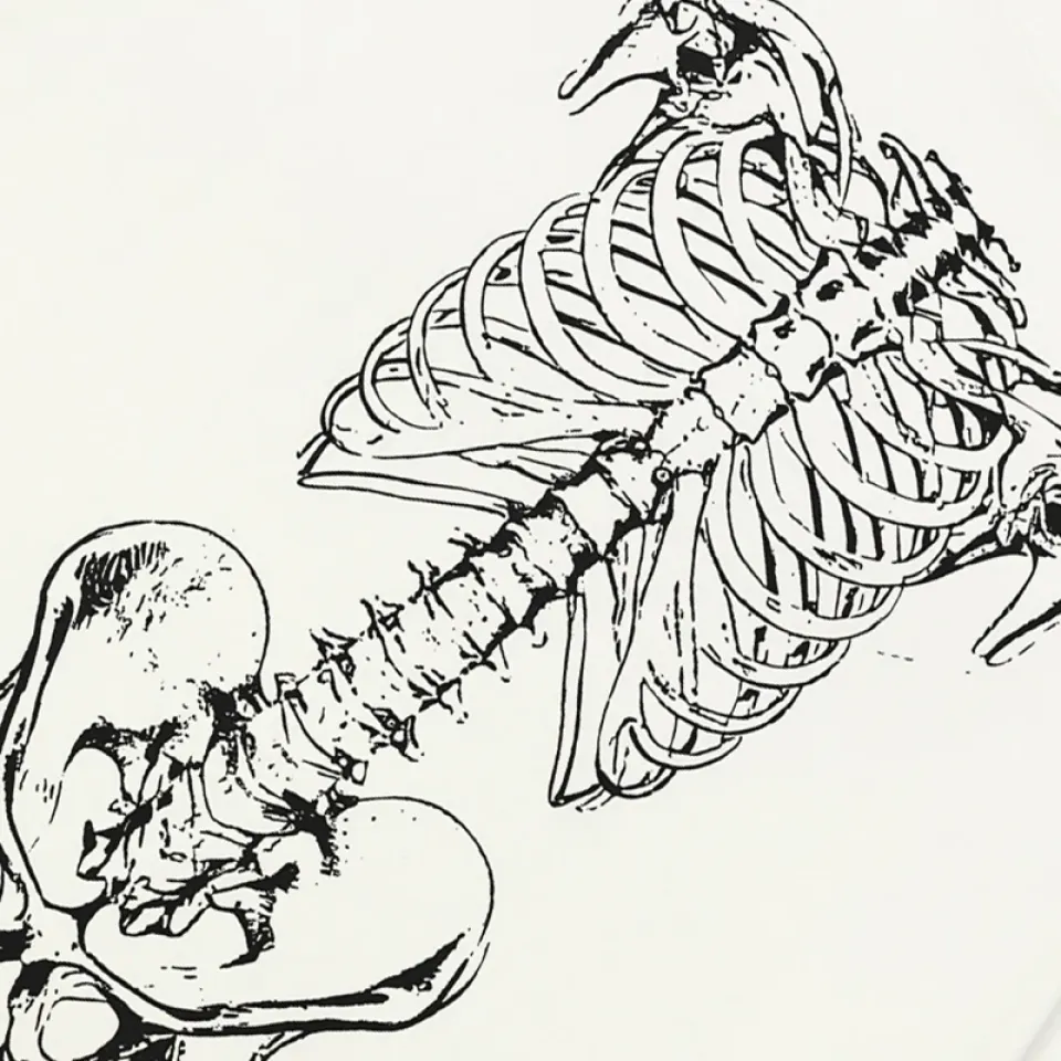 Anatomical Skeleton Frame Graphic T-Shirt S0aa9f8e70ae04109924ccedd16e933848 75782215