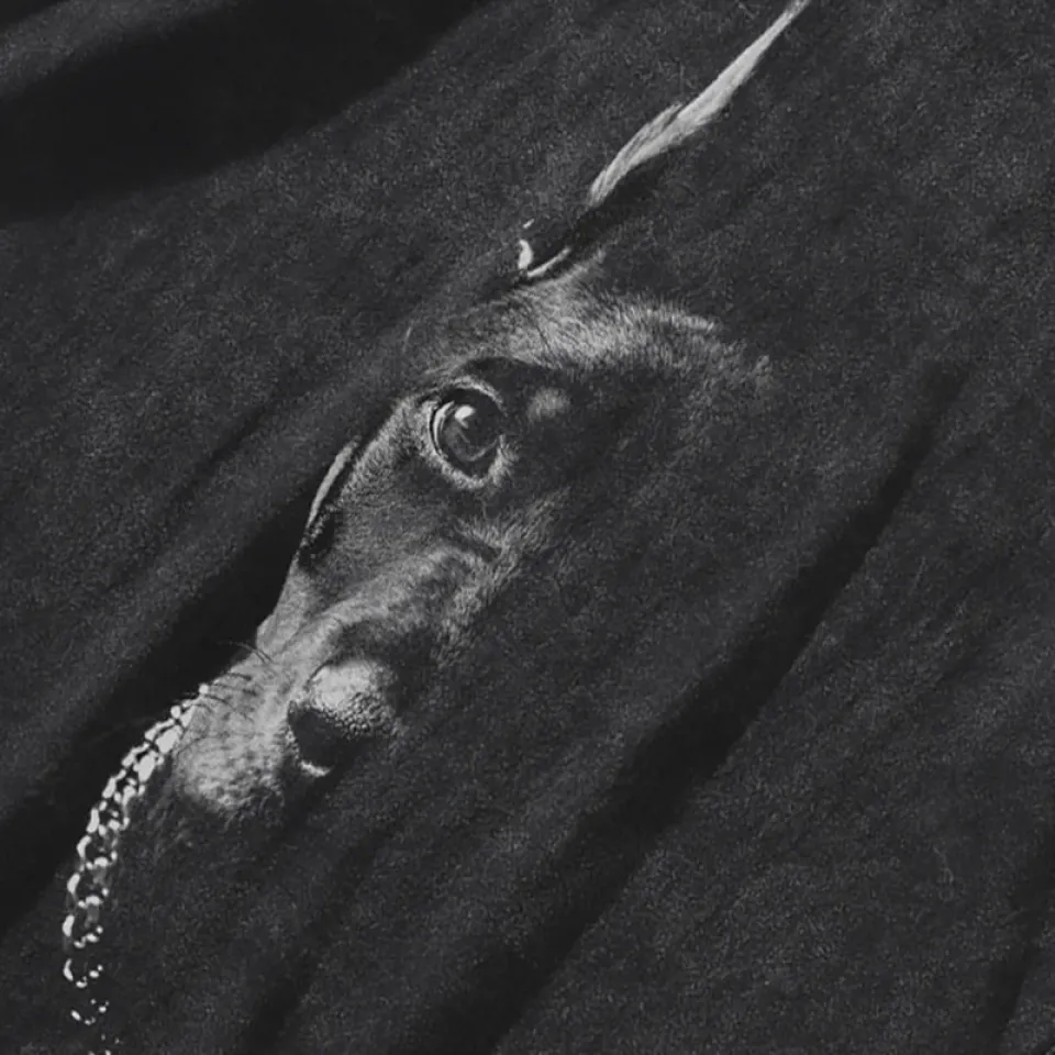 Shadowed Doberman Portrait Graphic Hoodie Sc2e445e6efb54f4f9052161adbfb98798 8fd445f4