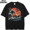 Sunset Ocean Wave Graphic T-Shirt 13 Sunset Ocean Wave Graphic T-Shirt S37032e9b8fe449fea64c3e0f56e480a7n 99e70f8b