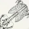 Anatomical Skeleton Frame Graphic T-Shirt S0aa9f8e70ae04109924ccedd16e933848 a9beb8db