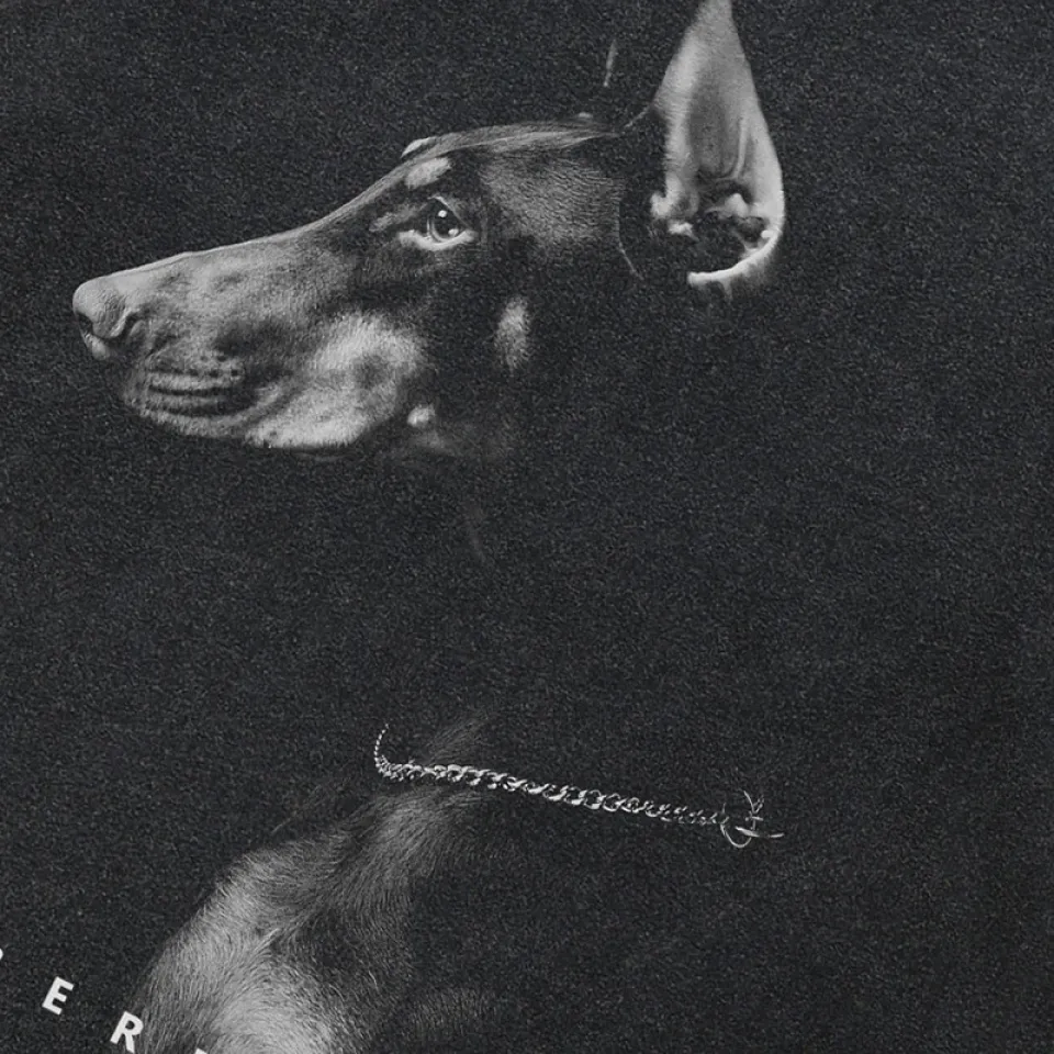 Doberman Graphic T-Shirt Scb93e9d728104f73a2c89b9c1b3ab60dG bdcb3da6