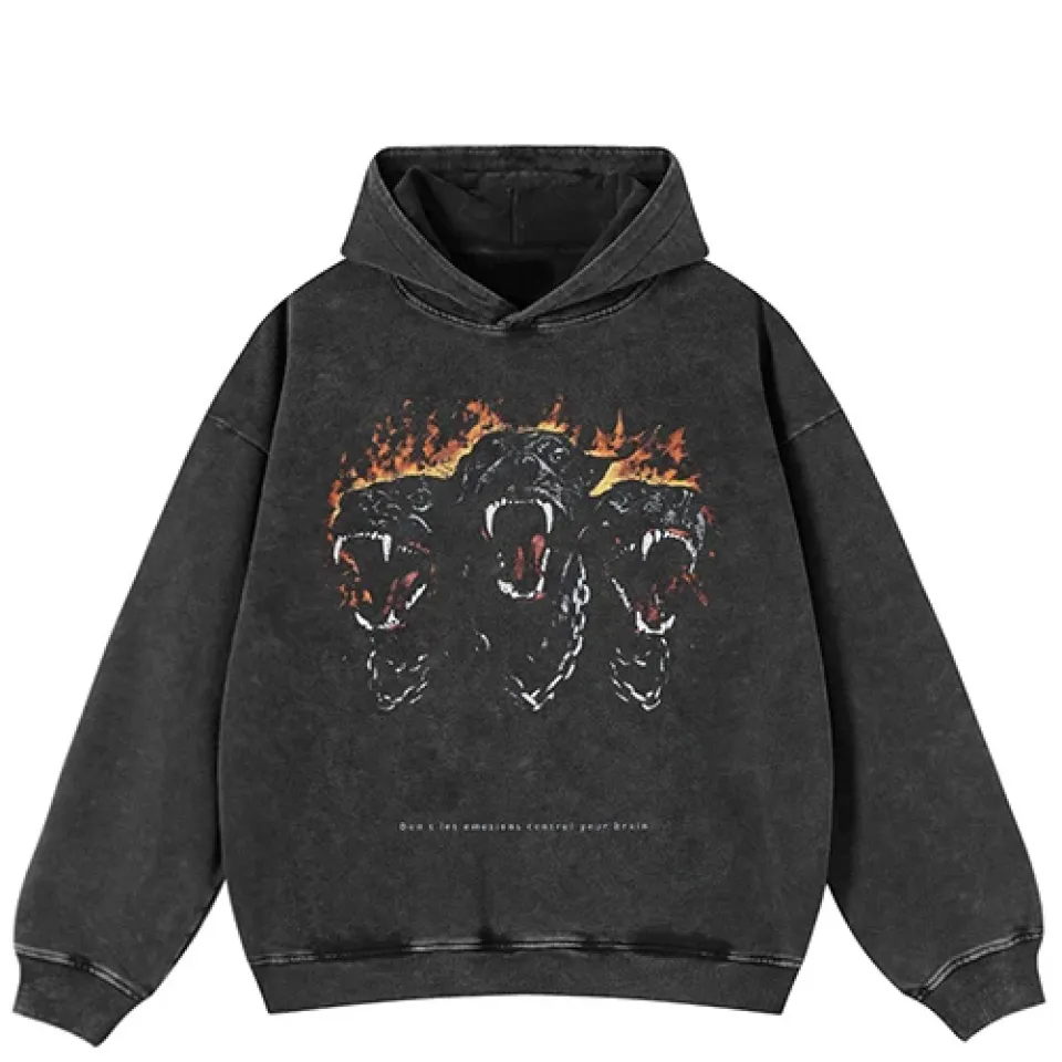 Cerberus Graphic Hoodie S46c80badc4b8415abdab5cb10c97672ba bf1d64b9