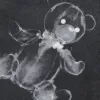 X-Ray Toy Bear T-Shirt Sea8fe30478af4a1785fa0cdd7ee1f29ep cb701c8a