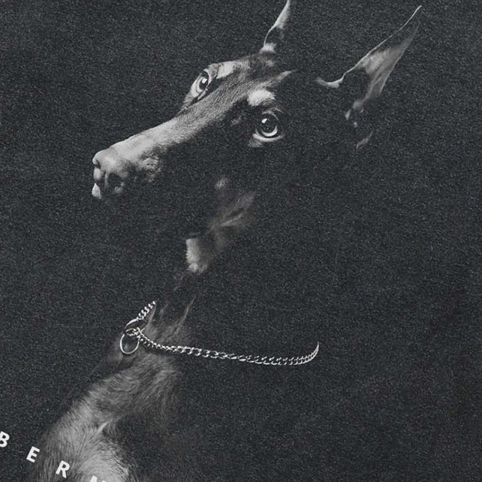 Animal Graphic Doberman Dog T Shirt S80272fe8a7374f40a8bd98dc8569b6fat cde6cf51
