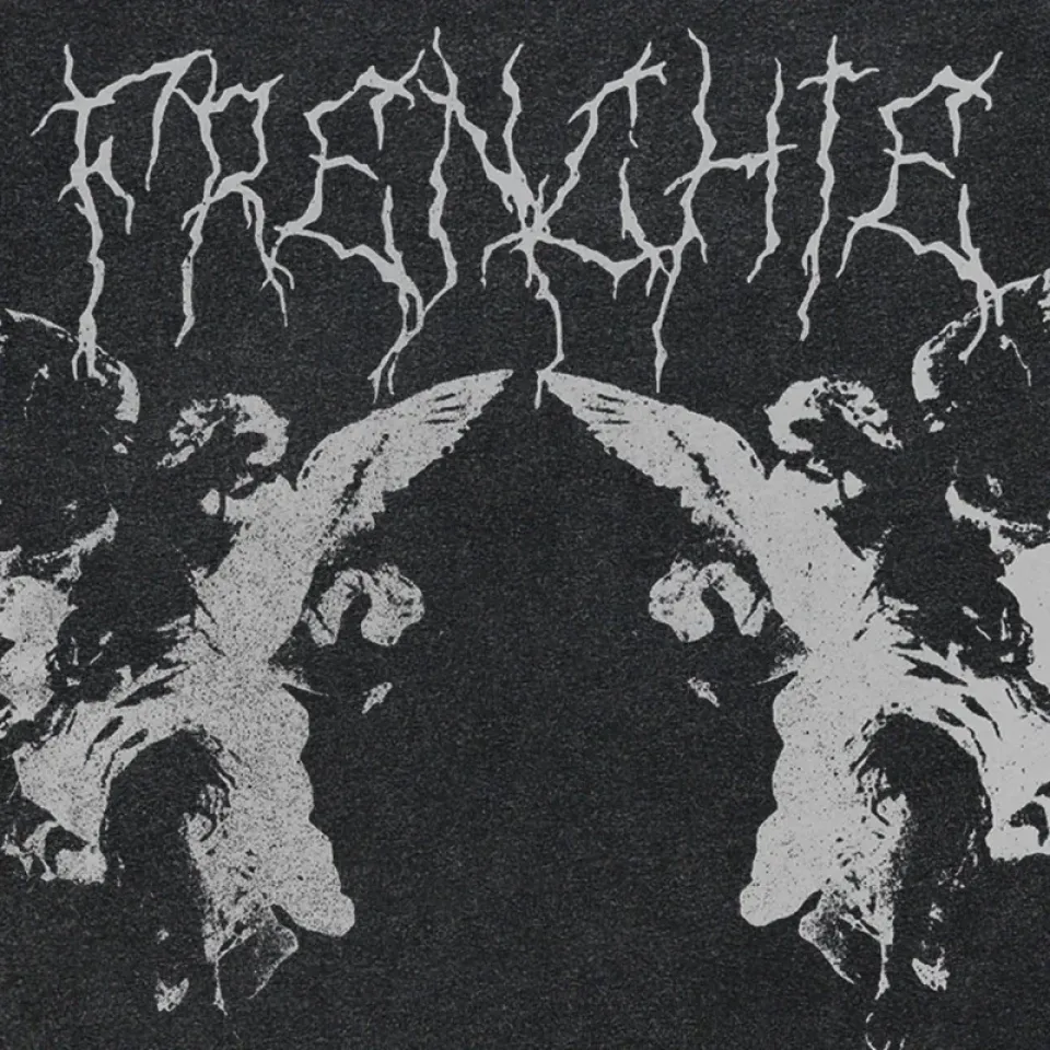 Bold Fallen Angel Graphic Tee Sfe55aac3d6804fdf87f818add4060c845 cd0cde63