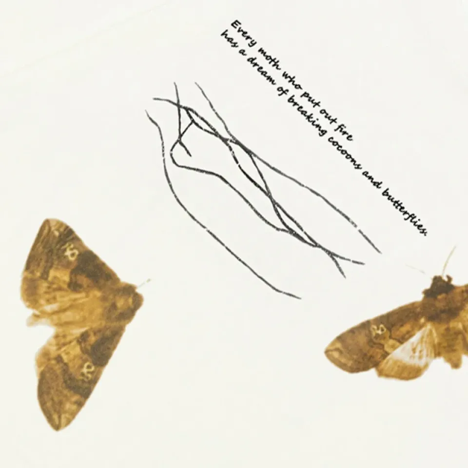 Flying Moth Graphic Print T-Shirt Se1afdd7856834f77adb2d9b44acd536f1 d4ee16a3