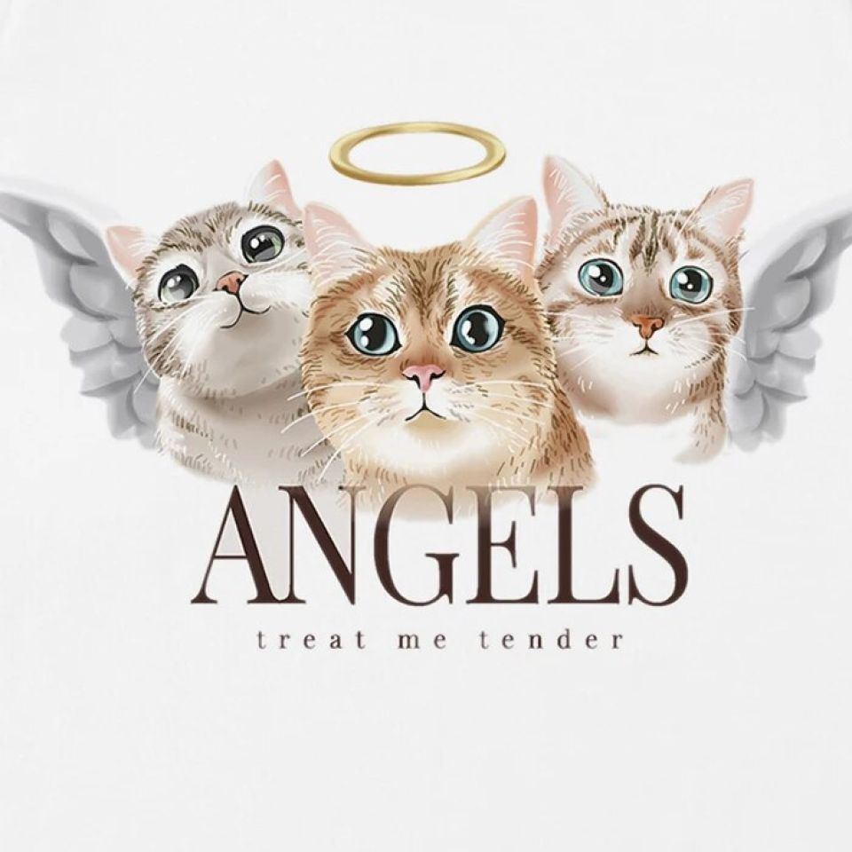 Cute Angel Cats Graphic T-shirt S7a437af13d6d4bf19fb6ded2faa35283s e1946845