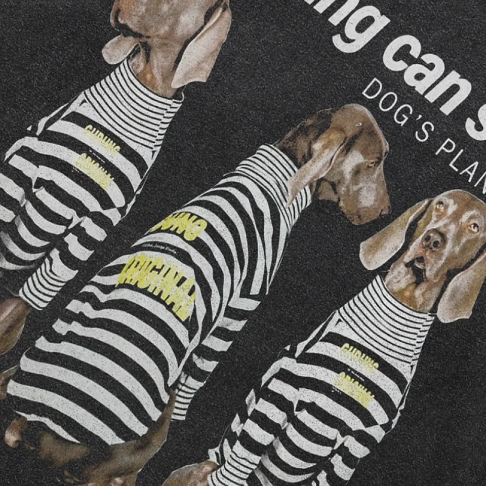 Weimaraner Dog’s Plan Graphic T-Shirt Se45775aeca68441daafbb8d3836dcb5eA fb7ad4e4